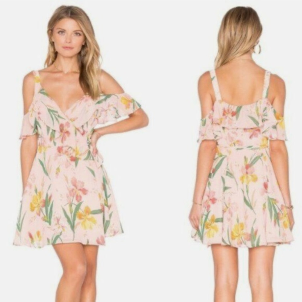Revolve Privacy Please dress